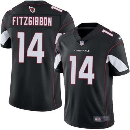 Black Paul Fitzgibbon Cardinals #14 Stitched American Football Jersey Custom Sewn-on Patches Mens Womens Youth