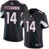 Black Paul Fitzgibbon Cardinals #14 Stitched American Football Jersey Custom Sewn-on Patches Mens Womens Youth