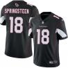 Black Bill Springsteen Cardinals #18 Stitched American Football Jersey Custom Sewn-on Patches Mens Womens Youth