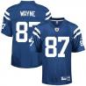 Reggie Wayne Indianapolis Football Jersey - Indianapolis #87 Football Jersey(Blue)