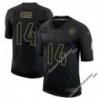 Black Shayne Edge Steelers #14 Stitched Salute to Service Football Jersey Mens Womens Youth