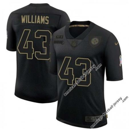 Black Erwin Williams Steelers #43 Stitched Salute to Service Football Jersey Mens Womens Youth