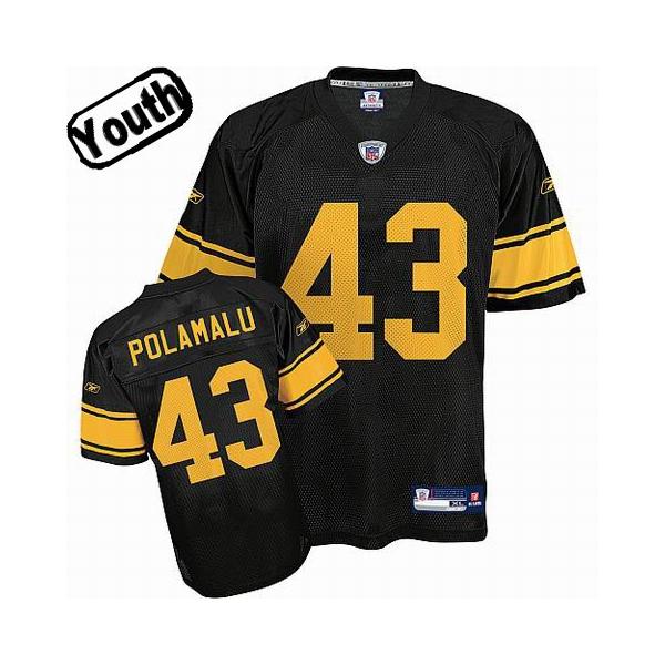 troy polamalu youth jersey