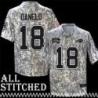 Joe Danelo Jersey Buffalo Bills #18 2024 Salute to Service Camo