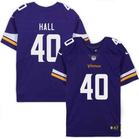 Minnesota Vikings #40 Windlan Hall Purple Home Jersey