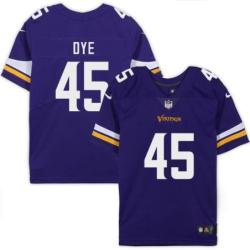 Minnesota Vikings #45 Troy Dye Purple Home Jersey