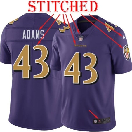 Purple Alternate Legend Vashone Adams Jersey Baltimore Ravens #43