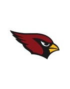 Arizona Cardinals Football Team Jerseys For Sale