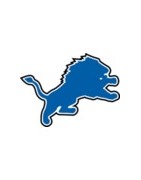 Detroit Lions Football Team Jerseys For Sale