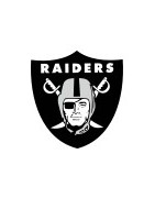 Las Vegas Raiders Football Team Jerseys For Sale