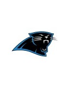 Carolina Panthers Football Team Jerseys For Sale